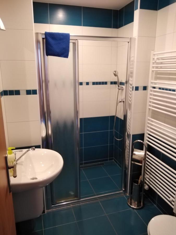 Penzion Iris Krkonoše Horní Maršov Esterno foto
