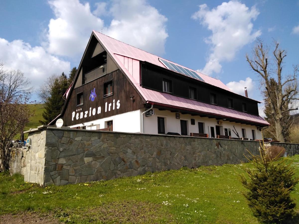 Penzion Iris Krkonoše Horní Maršov Esterno foto